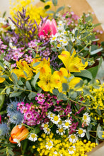 Cargar imagen en el visor de la galería, Salvaje Divertido