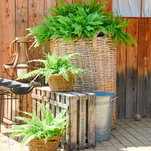Cargar imagen en el visor de la galería, Decoración para bodas